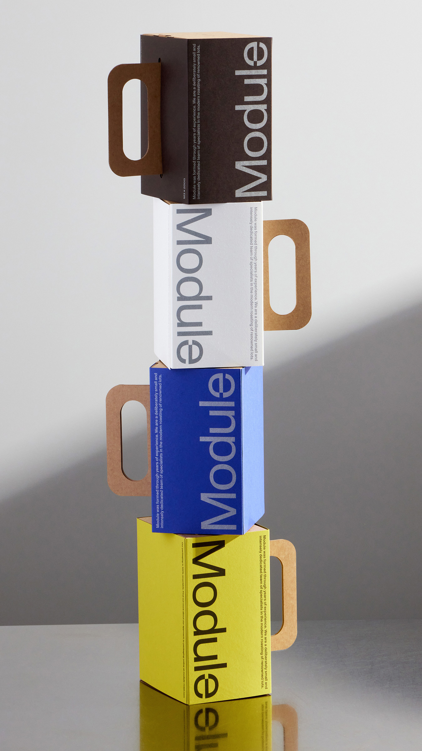 Standard Format &mdash; Module