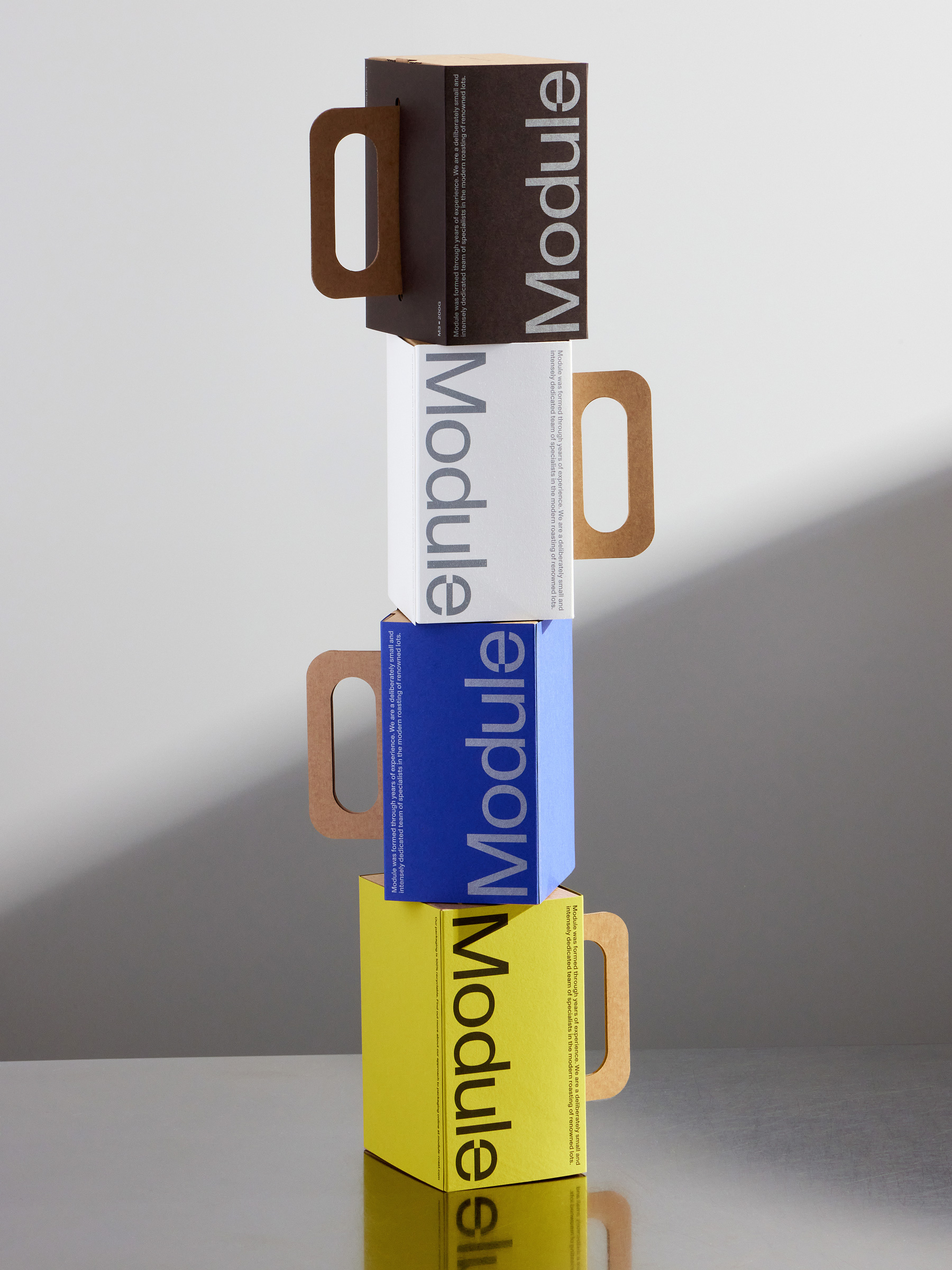 Standard Format &mdash; Module