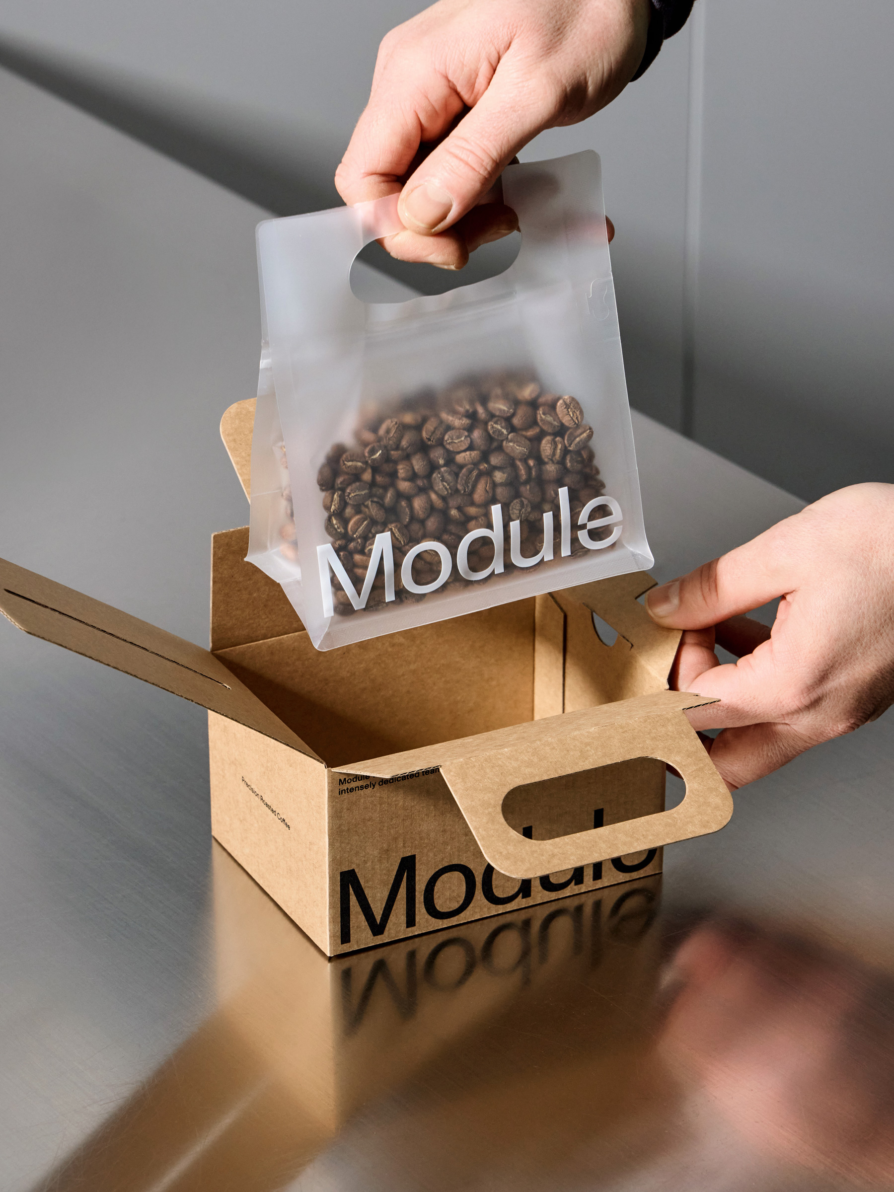 Standard Format &mdash; Module
