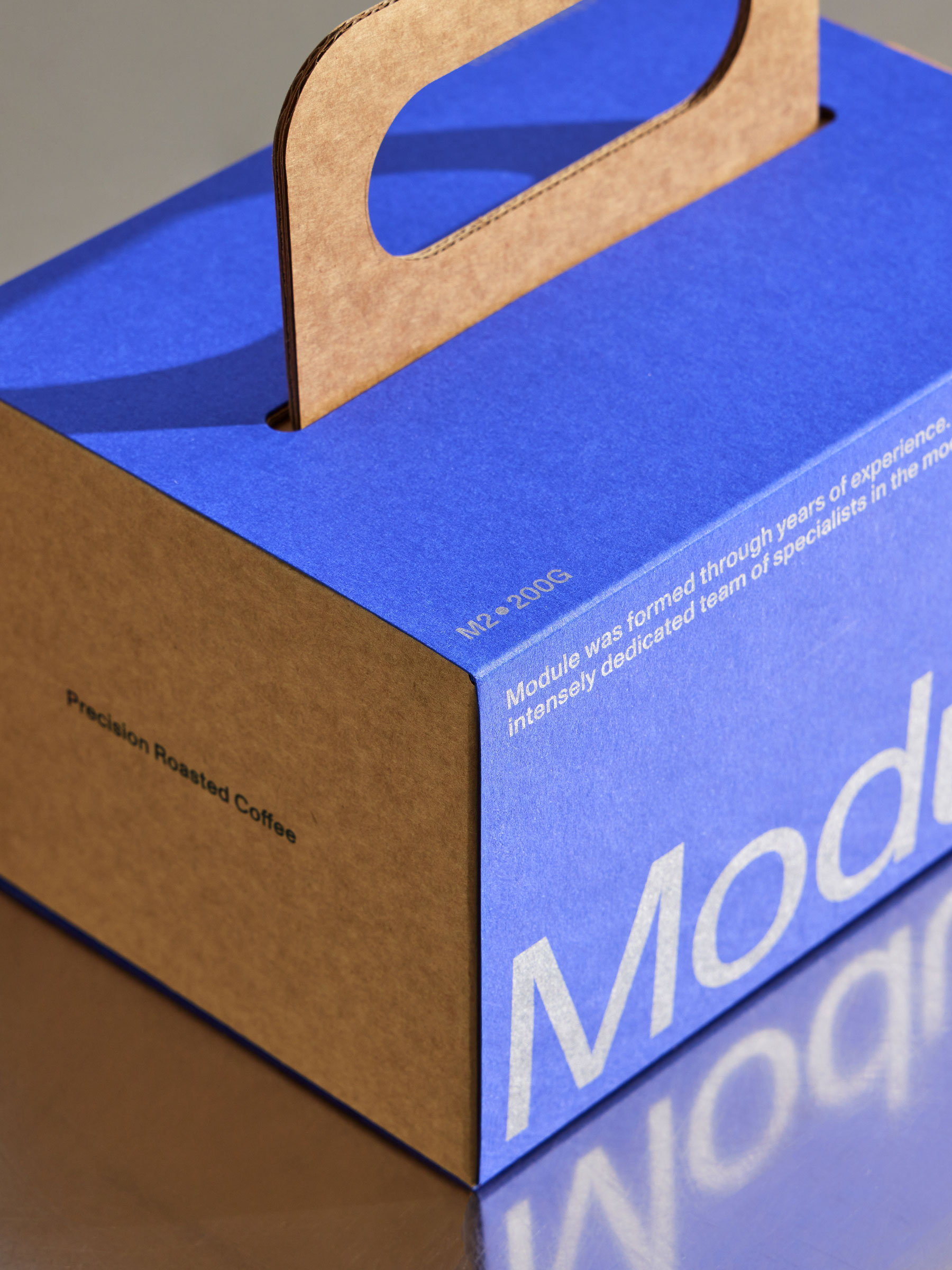 Standard Format &mdash; Module