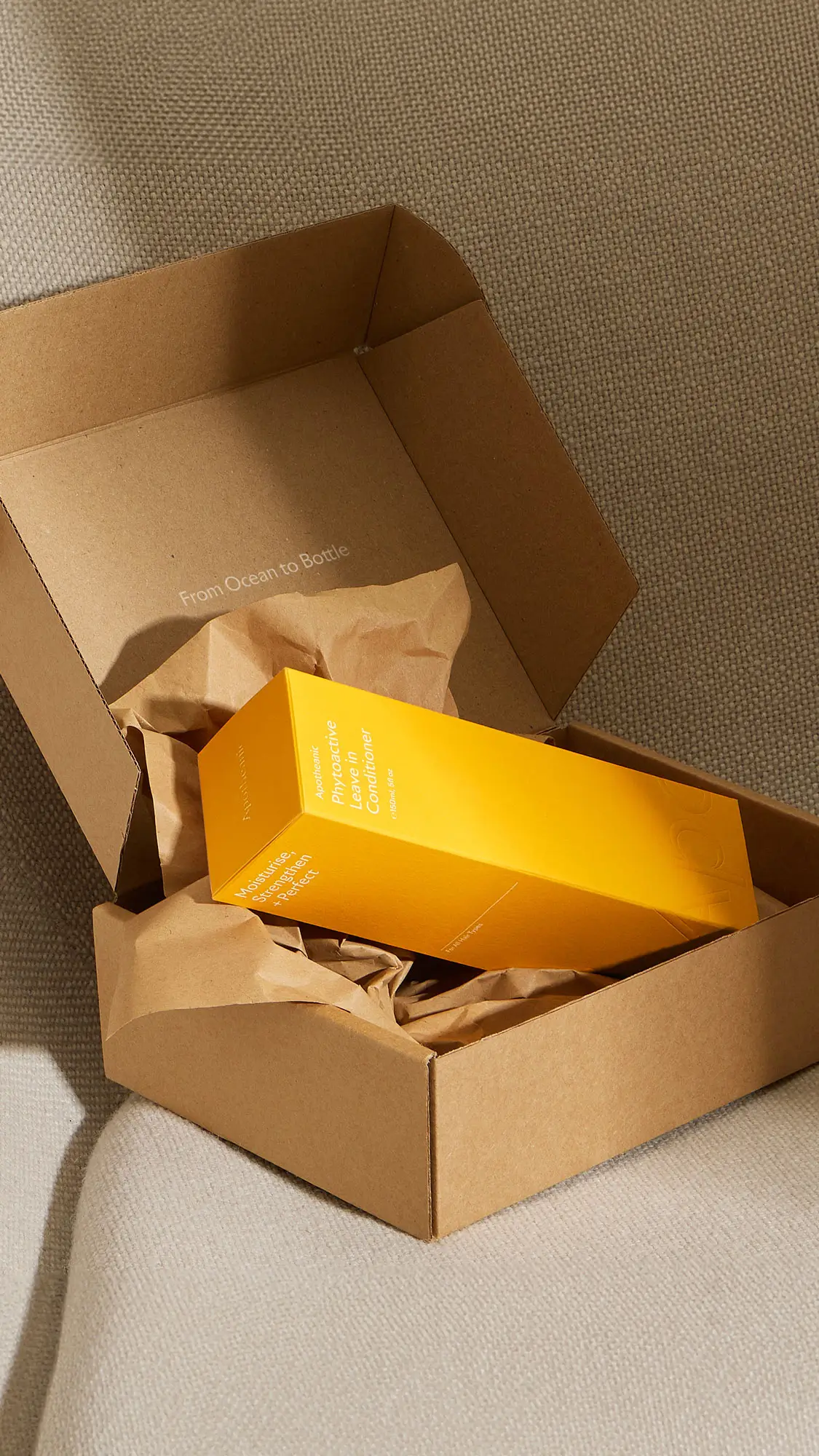 Standard Format — Apotheanic